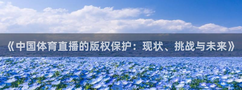 新球直播：《中国体育直播的版权保护：现状、挑战与未来》