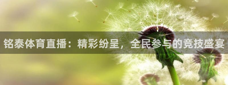 新球体育完整版：铭泰体育直播：精彩纷呈，全民参与的竞技盛宴