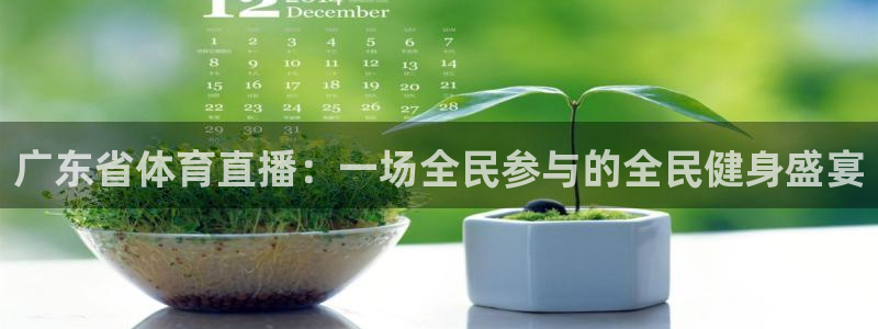 新球体育足球即时比分：广东省体育直播：一场全民参与的全民健身盛宴