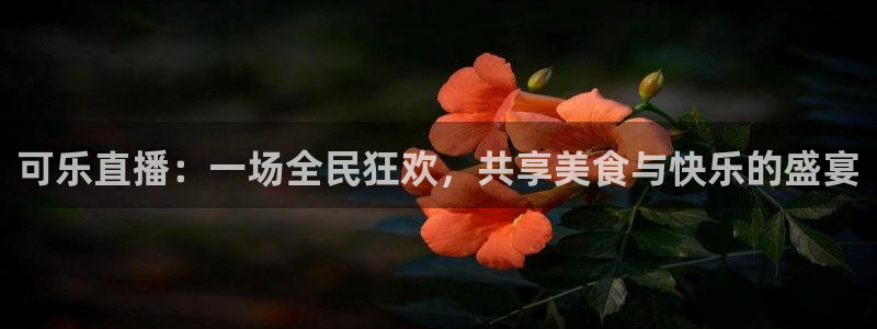 新球体育比分：可乐直播：一场全民狂欢，共享美食与快乐的盛宴