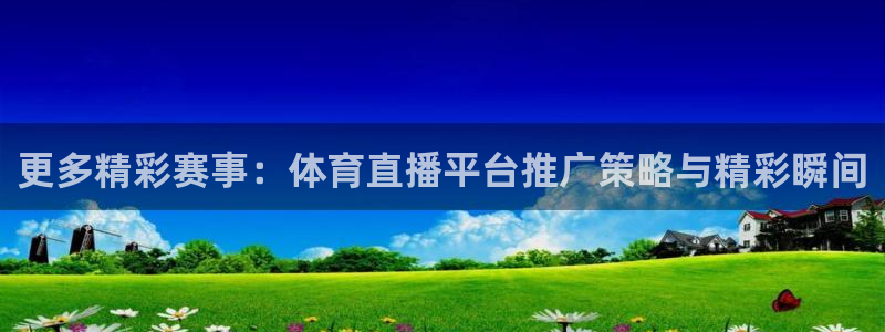 新球体育足球官网：更多精彩赛事：体育直播平台推广策略与精彩瞬间