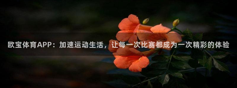 新球体育即时分：欧宝体育APP：加速运动生活，让每一次比赛都成为一次精彩的体验