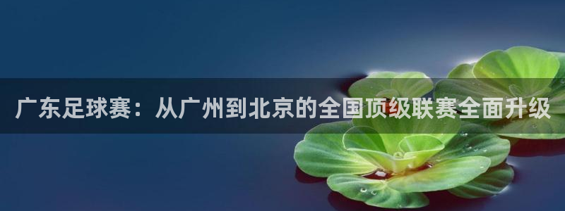 新体球即时比分新球体育：广东足球赛：从广州到北京的全国顶级联赛全面升级