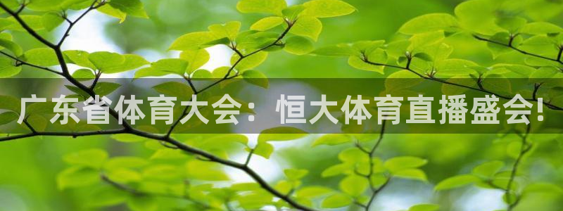 新球体育足球比分：广东省体育大会：恒大体育直播盛会!