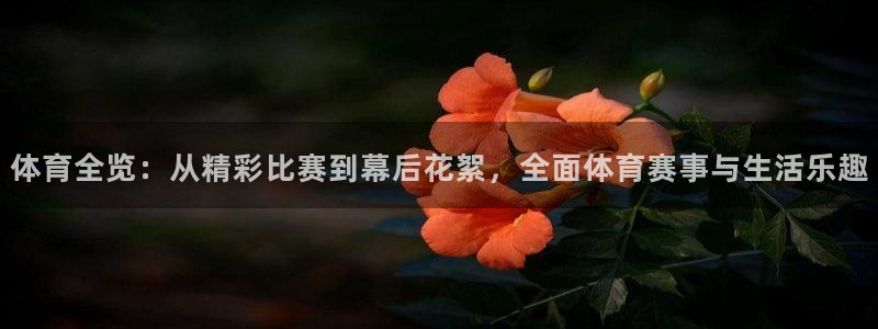 新球足球直播：体育全览：从精彩比赛到幕后花絮，全面体育赛事与生活乐趣