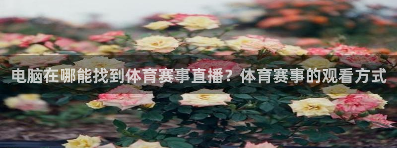 新球体育即时分：电脑在哪能找到体育赛事直播？体育赛事的观看方式