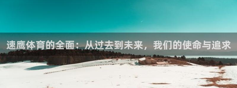 新球：速鹰体育的全面：从过去到未来，我们的使命与追求