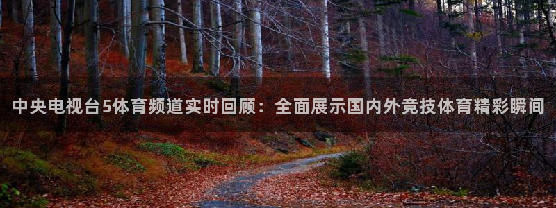 新球足球直播：中央电视台5体育频道实时回顾：全面展示国内外竞技体育精彩瞬间