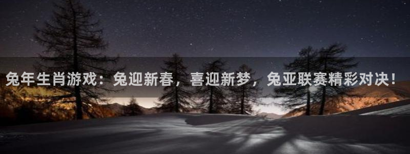 新球体育网球比分：兔年生肖游戏：兔迎新春，喜迎新梦，兔亚联赛精彩对决！