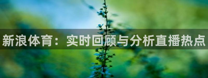 新球体育赛事：新浪体育：实时回顾与分析直播热点