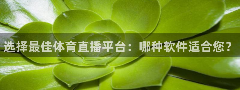新球：选择最佳体育直播平台：哪种软件适合您？
